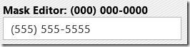 NetAdvantage for Windows UI - Masked Editor