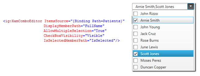 xamComboEditor IsSelectedMemberPath binding