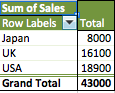 Excel Pivot Table Sample