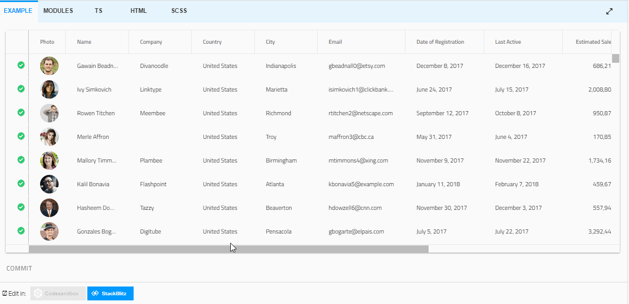 Example of Angular Grid Editing and Validation