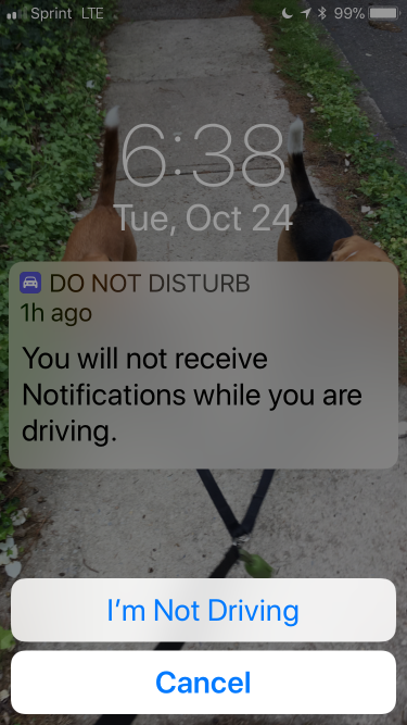 iPhone Do Not Disturb notification