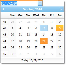 WebDatePicker About WebDatePicker 01.png