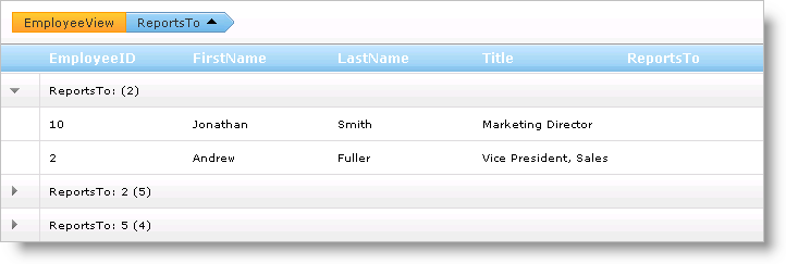 WebHierarchcialDataGrid CustomTextinGroupRow 01.png