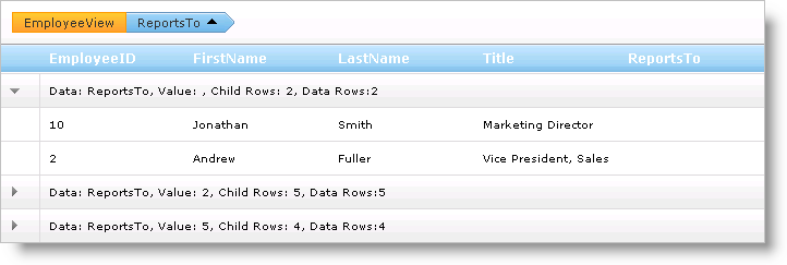 WebHierarchcialDataGrid CustomTextinGroupRow 02.png