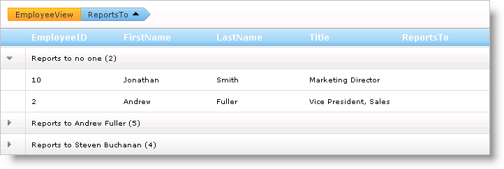 WebHierarchcialDataGrid CustomTextinGroupRow 03.png