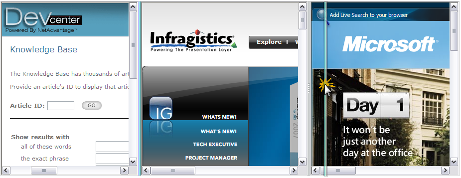 Web Whats New 2008 1 New WebSplitter Control 01.png