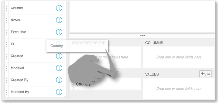 DragFieldPivotTable_iOS