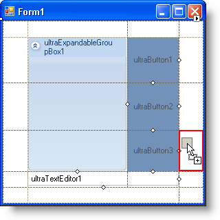 example of ultragridbaglayoutpanel