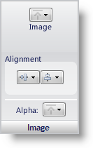 The Image panel that is used to configure the image of the UI Role state.