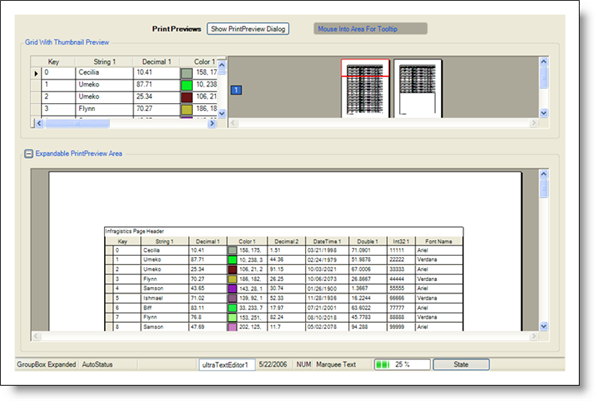 The Misc Canvas that appears in WinAppStylist.