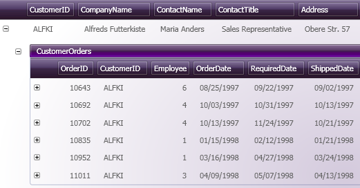 xamdatagrid showing off expandable field records