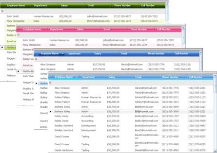 A few of the ThemePacks included being shown on the xamDataGrid control.