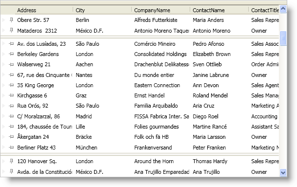 xamDataPresenter About Fixed Non Scrolling Records 01.png