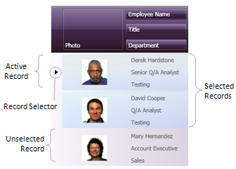 key areas of selection