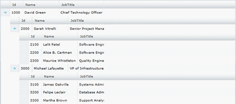 sl xamGrid Define Column Layout 08.png