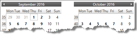 xamCalendar_ScrollDirection1.png