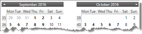 xamCalendar_ScrollDirection2.png