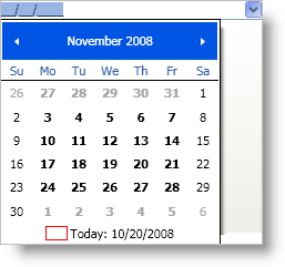 xamDateTimeEditor Drop Down Calendar for xamDateTimeEditor 01.png