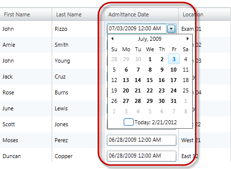 xamGrid DateTimeColumn 1.png