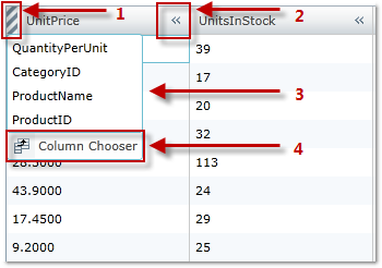 xamGrid columnChooser1.png