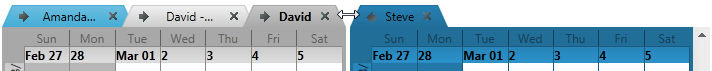 xamSchedule monthView resizing groups 1.png